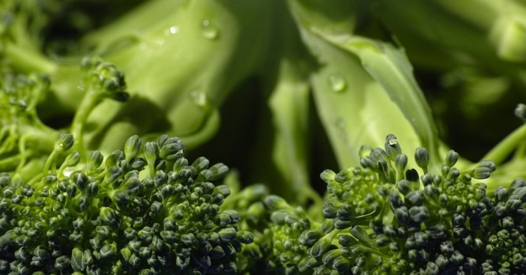 Benefits of broccoli