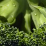 Benefits of broccoli