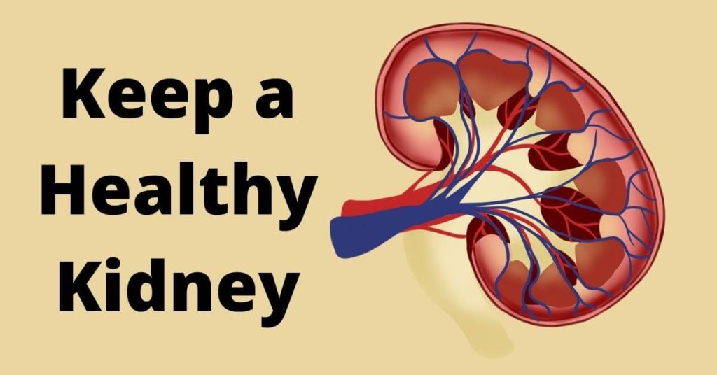 Healthy kidney secrets
