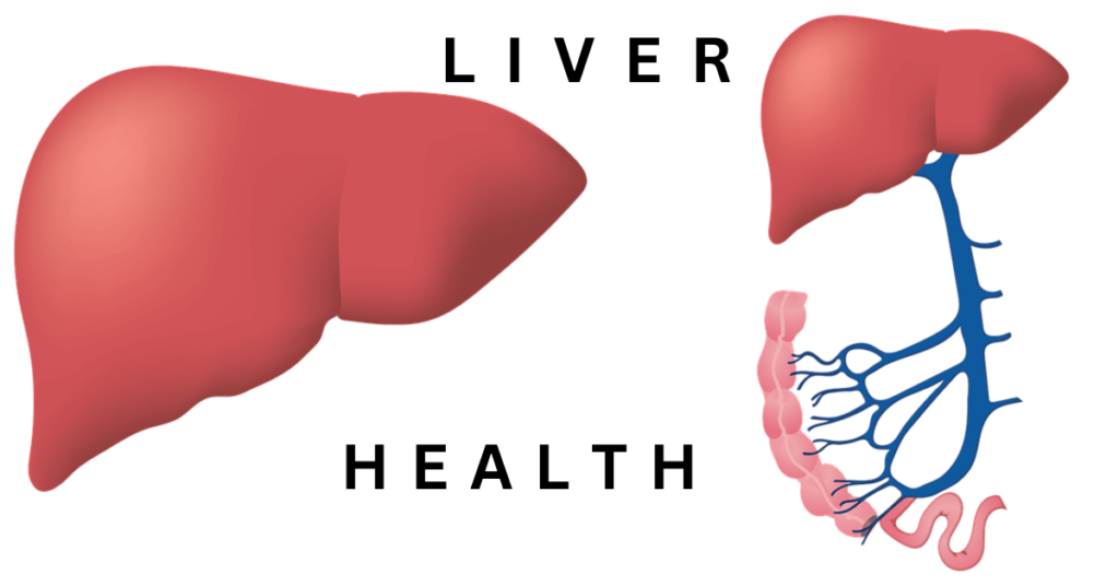 Liver health