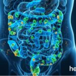 Illustration of gut bacteria and digestive system showing healthy microbiome balance