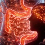 3D illustration showing the gut-brain connection highlighting signs of an unhealthy gut and its impact on mood